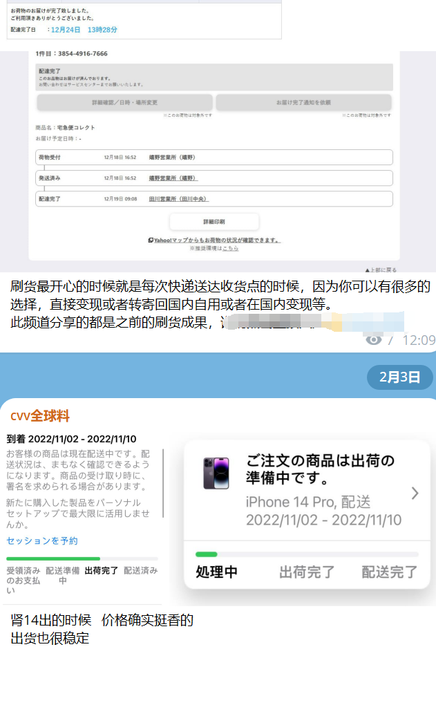 国外黑产项目拆解：日收入数万元的国内外信用卡CVV撸货 CVV刷货避坑-先知网创
