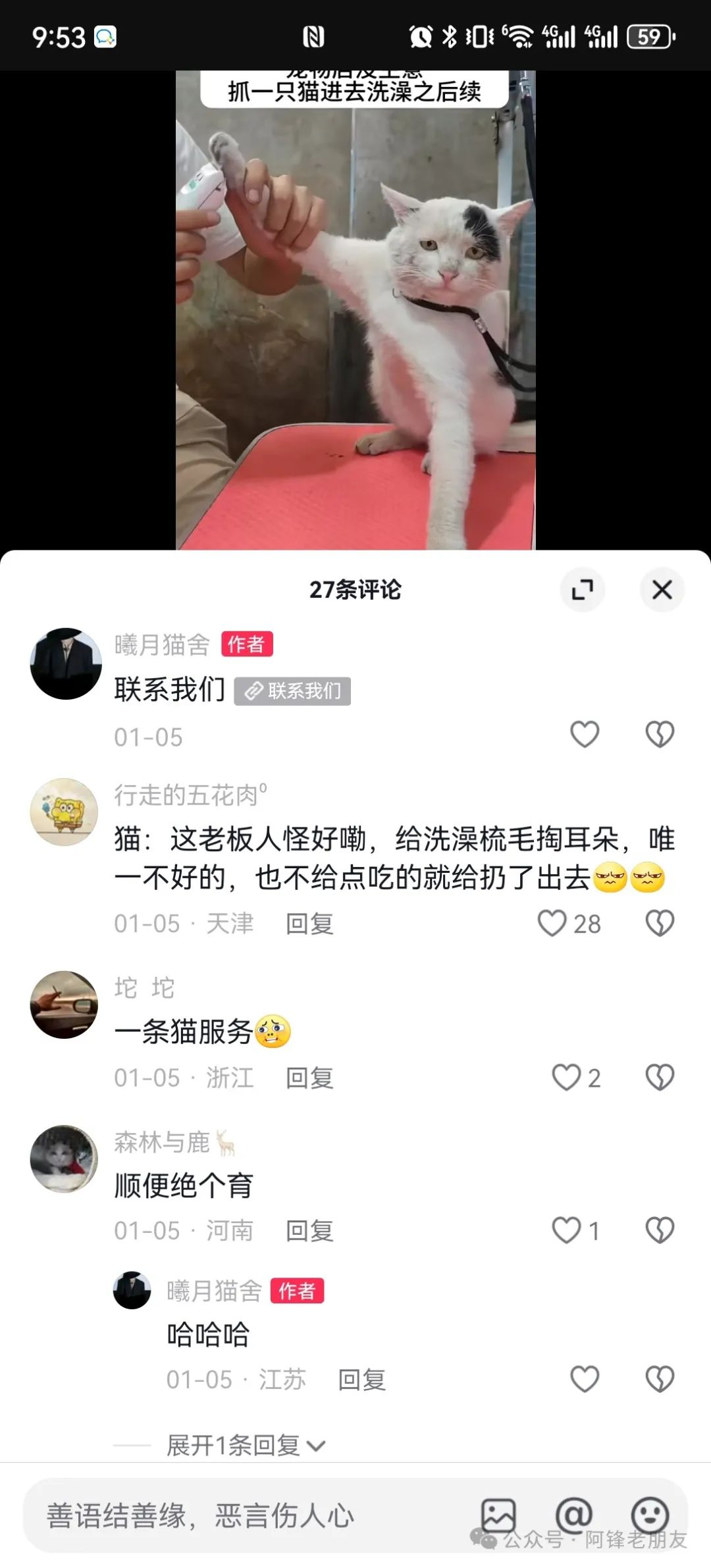 揭秘小猫咪活体抖音打粉项目，高客单价，每单利润 5000+ 认真坚持落地实操 轻松月入过万（篇一）-先知网创