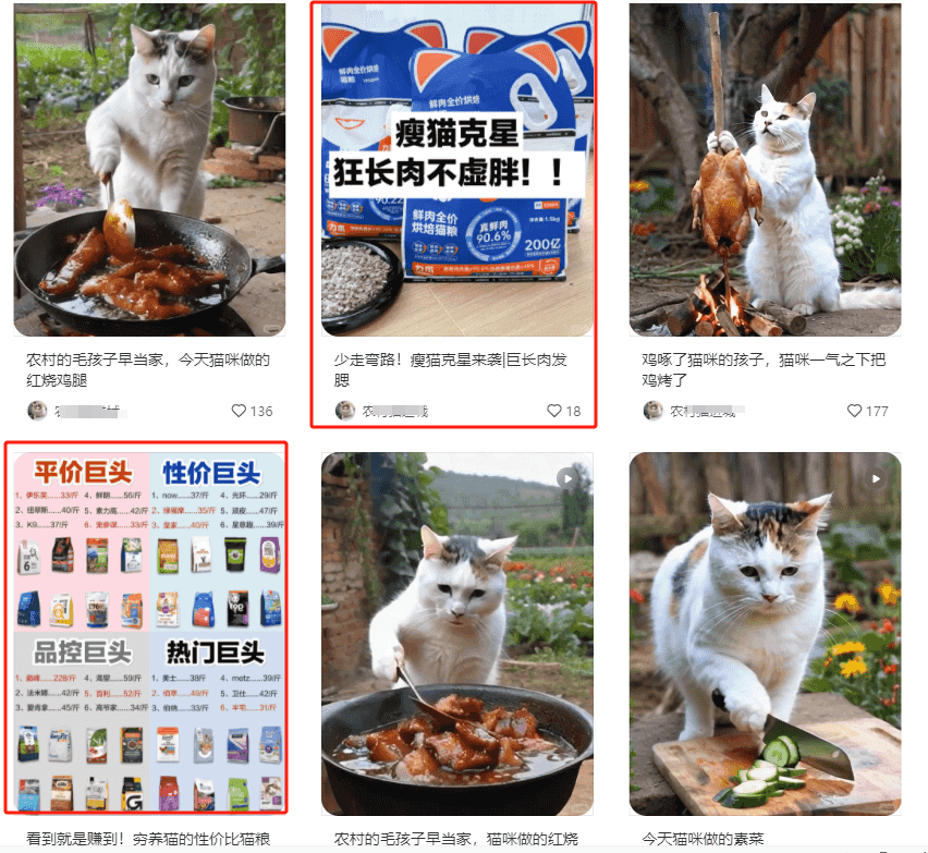 小红书上2个月涨粉2万+ 的猫咪做饭视频  五分钟教会你-先知网创